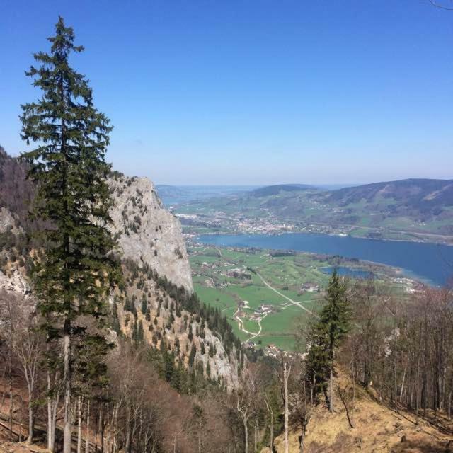 Ferienwohnung Meindl Elfi An Der Drachenwand 44 Mondsee Zewnętrze zdjęcie